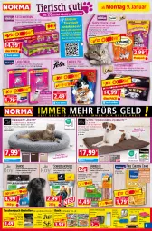 Gazetka promocyjna Norma - Norma - Gazetka - ważna od 16.01 do 16.01.2023 - strona 5 - produkty: Bau, Baueimer, beef, bett, beutel, braun, buch, Calcium, decke, eimer, eis, elle, ente, fisch, fleisch, Geflügel, gelee, gin, Käse, katzennahrung, kissen, kleber, lachs, lamm, Lammfell, leberwurst, leine, Liege, reifen, reis, Ria, rind, rindfleisch, rwe, sandwich, sauce, snack, snacks, staubwedel, Tasche, taschen, Taschenbuch, teller, Ti, Tiere, tücher, wedel, wurst