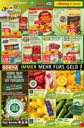 Gazetka promocyjna Norma - Norma - Gazetka - ważna od 16.01 do 16.01.2023 - strona 7 - produkty: auer, bio, Bio-Paprika, bratwurst, curry, currywurst, eis, elle, erde, frucht, früchte, grill, gulasch, gurke, gurken, krakauer, küche, kühlregal, lachs, lachsschinken, Landgurken, LG, Lusti, obst, Obst und Gemüse, orange, orangen, paprika, paprika rot, Pommersche, Rauch, regal, reifen, reis, Rotbarsch, saft, Saftorangen, salat, Salus, sauce, Schal, Schale, schinken, schnitten, Spezi, Ti, tiefpreis, und gemüse, wurst, zitrone, zitronen