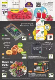 Gazetka promocyjna E Center - Angebote der Woche - Gazetka - ważna od 04.02 do 04.02.2023 - strona 5 - produkty: alkohol, angebot, beere, beeren, beutel, blume, blumen, cocktail, deka, erde, Garten, heidelbeere, heidelbeeren, himbeer, himbeere, himbeeren, kräuter, kräutern, küche, Küchen, Küchenhelfer, lebensmittel, leine, mac, obst, pesto, Salsa, sauce, saucen, Schal, Schale, schutzhülle, ssd, tee, Ti, und gemüse, vita, Yo, zitrone, zitronen