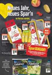 Gazetka promocyjna E Center - Angebote der Woche - Gazetka - ważna od 04.02 do 04.02.2023 - strona 7 - produkty: banane, bananen, beutel, discount, eis, elle, nuss, pflaume, pflaumen, reis, salat, tafeläpfel, Tasche, tee, tomate, tomaten, tragetasche