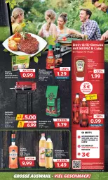 Gazetka promocyjna Combi - Prospekte - Gazetka - ważna od 27.05 do 27.05.2023 - strona 21 - produkty: anzünder, aperitif, coca-cola, cola, develey, eis, fanta, fanta oder, fanta oder sprite, feinkost, feuerschale, flasche, grill, heinz, Holz, holzkohle, Kamin, ketchup, mac, oder sprite, reis, rundgrill, sauce, saucen, Schal, Schale, schüssel, schweppes, sprite, Ti, ZTE