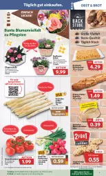 Gazetka promocyjna Combi - Prospekte - Gazetka - ważna od 27.05 do 27.05.2023 - strona 3 - produkty: angebot, angebote, baguette, blume, blumen, brot, brötchen, butter, discount, eis, Käse, kuchen, Lauchzwiebel, lauchzwiebeln, Laugenstange, Meister, obst, Ofen, pfeffer, radieschen, Rauch, reis, Schal, Schale, spargel, steinofen, strauchtomaten, stube, telefon, Ti, tomate, tomaten, uhr, ZTE, zwiebel, zwiebeln