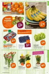 Gazetka promocyjna Tegut - Angebote der Woche - Gazetka - ważna od 09.04 do 09.04.2022 - strona 7 - produkty: angebot, angebote, banane, bananen, Bau, beere, beeren, bio, bio-bananen, bioland, blume, blumen, chiquita, dekoration, eis, heidelbeere, heidelbeeren, Kalanchoe, kiwi, Narzissen, obst, orange, orangen, pflanze, pflanzen, pril, reis, Schal, Schale, Ti, topf, trauben, wein