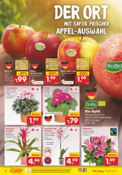 Gazetka promocyjna Netto Marken-Discount - Filial Angebote - Gazetka - ważna od 15.01 do 15.01.2022 - strona 6 - produkty: Alpenveilchen, apfel, Apfelkuchen, apfelmus, asti, bio, Blüte, Bromelie, eis, kuchen, kulturtopf, Mett, ndk, obst, orchidee, orchideen, reis, rosen, saft, salat, Schal, Schale, Schmetterling, schmetterlingsorchidee, Ti, topf, versandkostenfrei