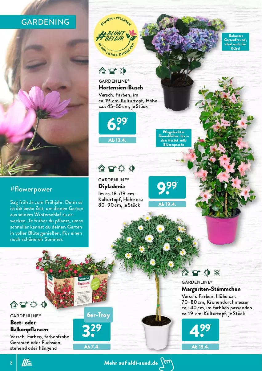 Aktueller Prospekt AldiSud - ALDI Garten - von 31.03 bis 30.04.2022 - strona 8 - produkty: aldi, auer, balkonpflanzen, Blüte, dip, dipladenia, elle, gardenline®, Garten, geranie, geranien, hortensie, hortensien, krone, kulturtopf, messer, pflanze, pflanzen, topf, weck