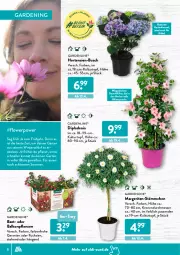 Gazetka promocyjna AldiSud - ALDI Garten - Gazetka - ważna od 30.04 do 30.04.2022 - strona 8 - produkty: aldi, auer, balkonpflanzen, Blüte, dip, dipladenia, elle, gardenline®, Garten, geranie, geranien, hortensie, hortensien, krone, kulturtopf, messer, pflanze, pflanzen, topf, weck