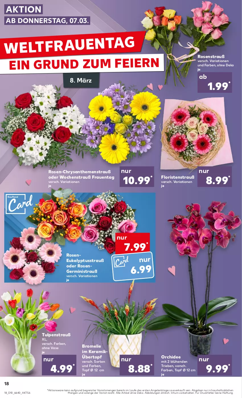 Aktueller Prospekt Kaufland - Prospekt - von 07.03 bis 13.03.2024 - strona 18 - produkty: angebot, Bromelie, chrysanthemen, eier, Germ, orchidee, Ria, rosen, Rosenstrauß, Ti, topf, topf ø 12 cm, übertopf, Vase, ZTE