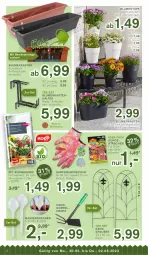 Gazetka promocyjna Kodi - Prospekte - Gazetka - ważna od 02.06 do 02.06.2022 - strona 2 - produkty: bio, blume, blumen, blumenerde, eis, erde, Garten, HP, pflanze, pflanzen, reis, Ti, topf, wasser