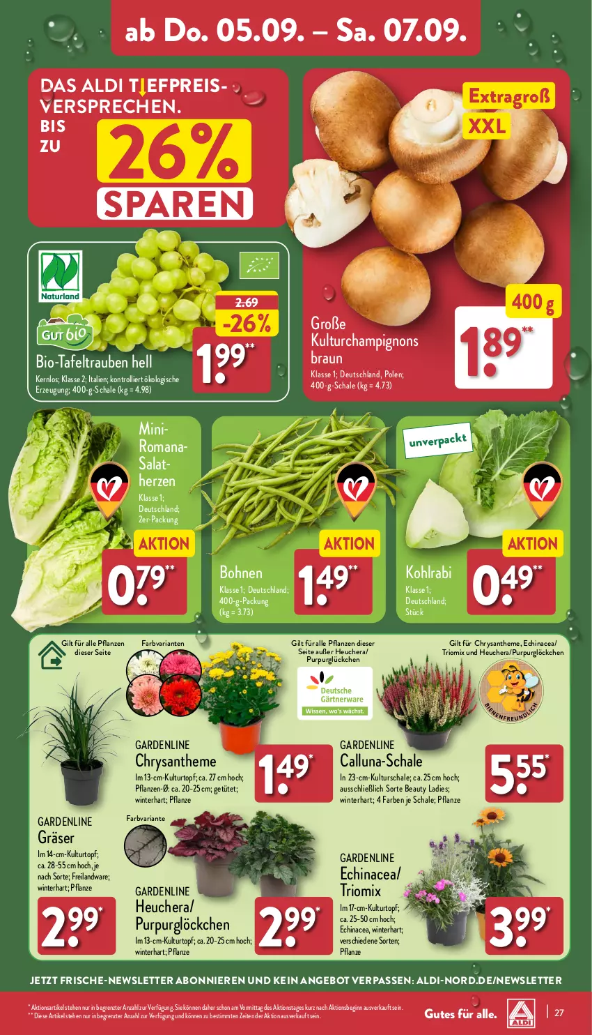 Aktueller Prospekt Aldi Nord - Von Montag - von 02.09 bis 07.09.2024 - strona 27 - produkty: aldi, angebot, bio, bohne, bohnen, braun, champignon, champignons, champignons braun, Echinacea, eis, gin, Heu, kohlrabi, kulturtopf, pflanze, pflanzen, reis, Ria, Romanasalat, salat, salatherzen, Schal, Schale, tafeltrauben, Ti, topf, trauben, trolli, Tüte, ZTE