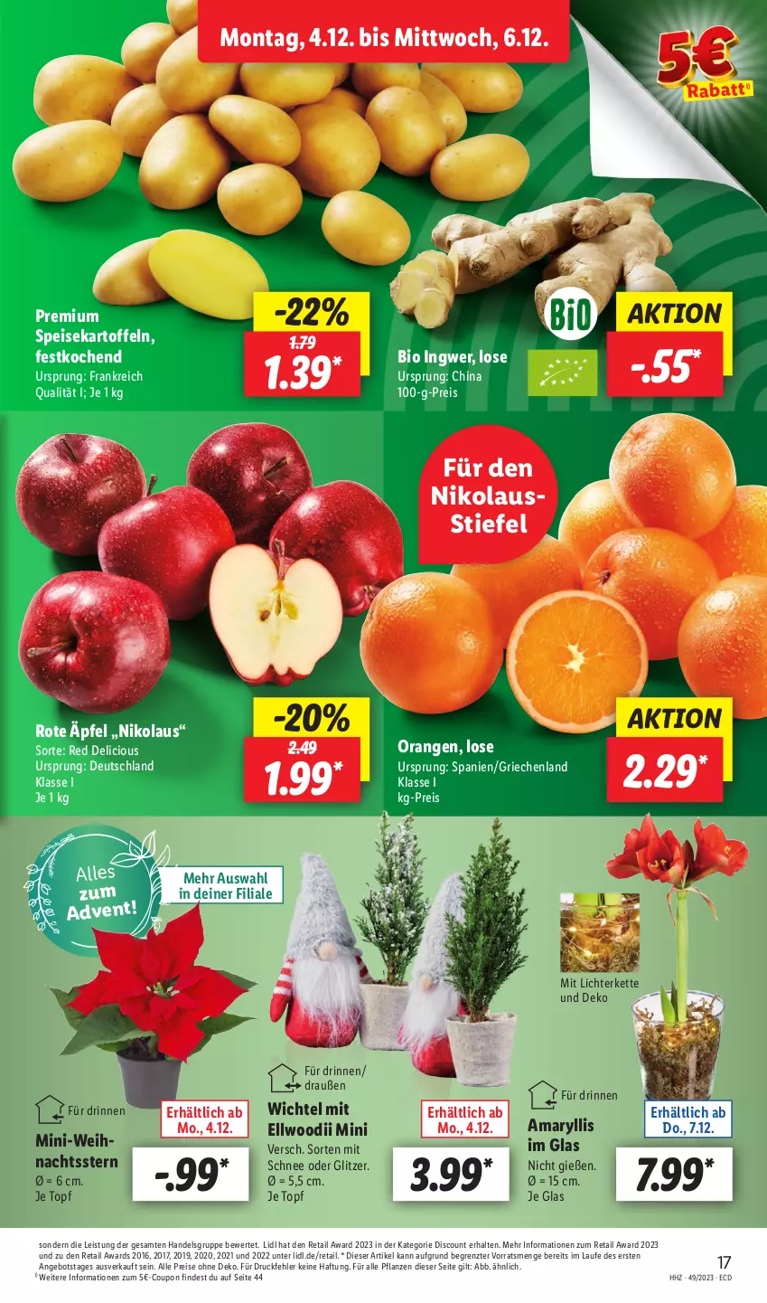 Aktueller Prospekt Lidl - Aktionsprospekt - von 04.12 bis 09.12.2023 - strona 19 - produkty: angebot, bio, coupon, discount, eis, ingwer, kartoffel, kartoffeln, Kette, lichterkette, orange, orangen, pflanze, pflanzen, reis, speisekartoffeln, Ti, topf, Weihnachtsstern, Wichtel, ZTE