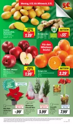 Gazetka promocyjna Lidl - Aktionsprospekt - Gazetka - ważna od 09.12 do 09.12.2023 - strona 19 - produkty: angebot, bio, coupon, discount, eis, ingwer, kartoffel, kartoffeln, Kette, lichterkette, orange, orangen, pflanze, pflanzen, reis, speisekartoffeln, Ti, topf, Weihnachtsstern, Wichtel, ZTE