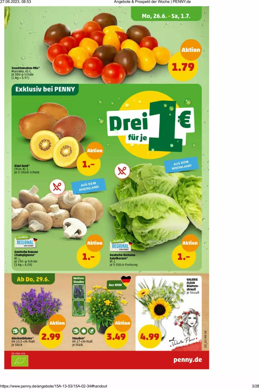 Aktueller Prospekt Penny - Prospekte - von 26.06 bis 01.07.2023 - strona 3 - produkty: angebot, angebote, braun, Schal, Schale