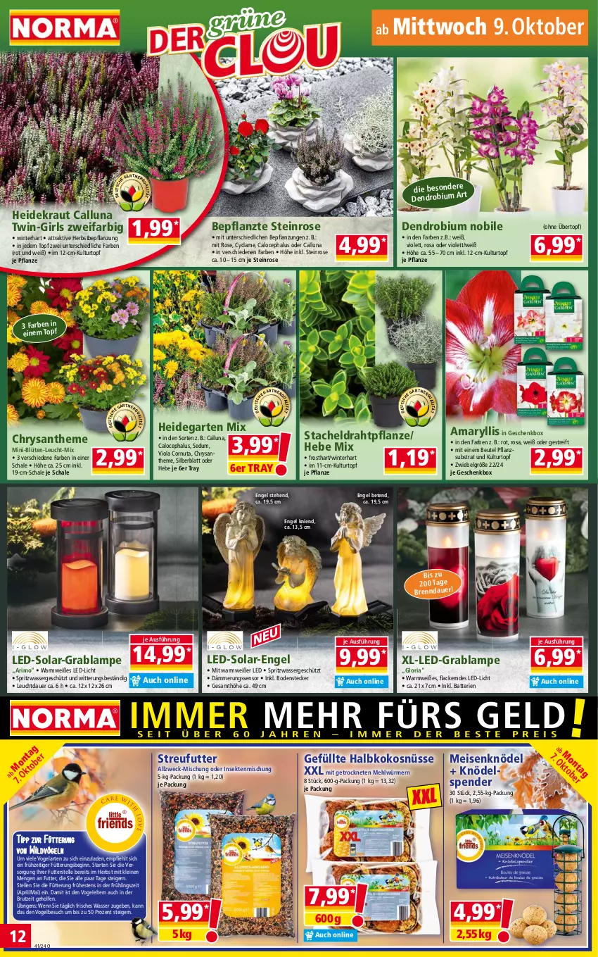 Aktueller Prospekt Norma - Norma - von 07.10 bis 14.10.2024 - strona 12 - produkty: auer, batterie, batterien, beutel, Blüte, brut, Draht, eis, elle, Engel, Garten, Geschenkbox, gin, Heidekraut, Knödel, kokos, Kraut, kulturtopf, lack, Lacke, Lampe, led-licht, leine, LG, mehl, Meisenknödel, pflanze, pril, Ria, Schal, Schale, sekt, Streufutter, Ti, topf, übertopf, wasser, weck, Wild, ZTE, zwiebel