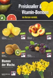 Gazetka promocyjna Edeka - Angebote der Woche - Gazetka - ważna od 25.03 do 25.03.2023 - strona 5 - produkty: angebot, Birnen, blume, blumen, eis, Narzissen, Nektar, nektarinen, pflaume, pflaumen, reis, tafelbirnen