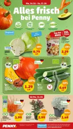 Gazetka promocyjna Penny - Prospekte - Gazetka - ważna od 21.10 do 21.10.2023 - strona 2 - produkty: apfel, beutel, Cashew, cashewkerne, Draht, eis, fenster, grana, granatapfel, pflanze, Rana, reis, Ti, topf, Weißkohl, ZTE, zucchini