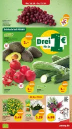 Gazetka promocyjna Penny - Prospekte - Gazetka - ważna od 21.10 do 21.10.2023 - strona 3 - produkty: blume, blumen, eis, Schal, Schale, tafeltrauben, Ti, topf, trauben