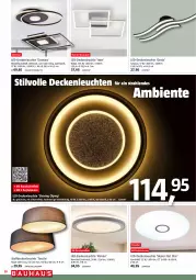 Gazetka promocyjna Bauhaus - Prospekte - Gazetka - ważna od 02.12 do 02.12.2023 - strona 20 - produkty: bürste, decke, deckenleuchte, ente, led-deckenleuchte, Leuchte, leuchten, Ti