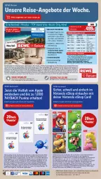 Gazetka promocyjna Rewe - Prospekte - Gazetka - ważna od 21.09 do 21.09.2024 - strona 16 - produkty: angebot, angebote, Apple, buch, coupon, decke, deutschsprachige reiseleitung, eis, elle, erde, gin, inklusivleistungen, nintendo, payback, reis, ring, sofortrabatt, telefon, Ti, uhr