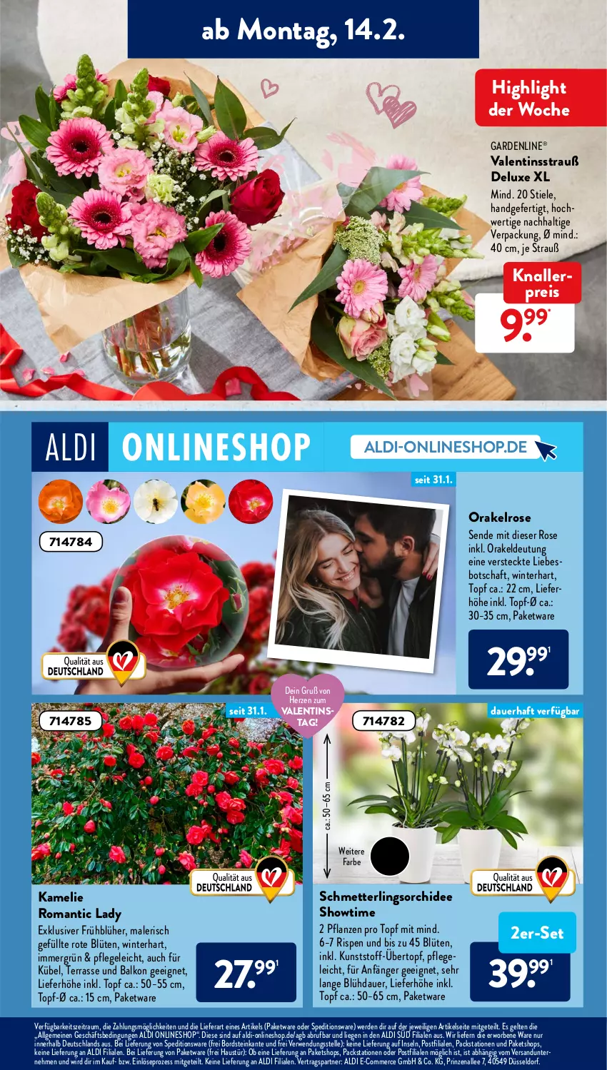 Aktueller Prospekt AldiSud - ALDI Aktuell - von 14.02 bis 19.02.2022 - strona 11 - produkty: aldi, auer, aust, Blüte, eis, elle, erde, gardenline®, knallerpreis, LG, Liege, Mett, orchidee, pflanze, pflanzen, reis, rwe, Schmetterling, schmetterlingsorchidee, Ti, topf, übertopf