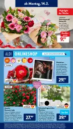 Gazetka promocyjna AldiSud - ALDI Aktuell - Gazetka - ważna od 19.02 do 19.02.2022 - strona 11 - produkty: aldi, auer, aust, Blüte, eis, elle, erde, gardenline®, knallerpreis, LG, Liege, Mett, orchidee, pflanze, pflanzen, reis, rwe, Schmetterling, schmetterlingsorchidee, Ti, topf, übertopf