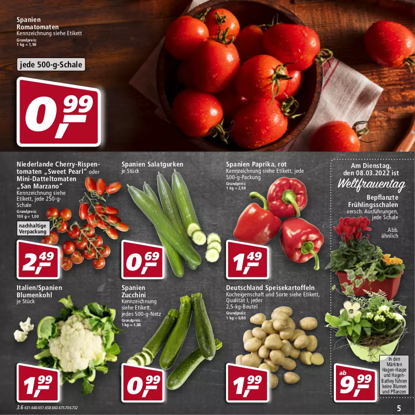 Aktueller Prospekt Real - Real Handzettel - von 28.02 bis 05.03.2022 - strona 5 - produkty: beutel, blume, blumen, Blumen und Pflanzen, blumenkohl, datteltomaten, eis, gurke, gurken, kartoffel, kartoffeln, paprika, pflanze, pflanzen, reis, rispentomaten, Romatomaten, salat, Salatgurke, salatgurken, Schal, Schale, speisekartoffeln, Ti, tomate, tomaten, ZTE, zucchini