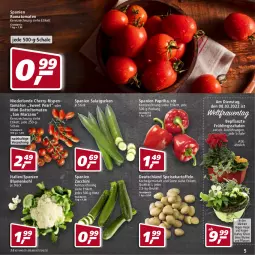 Gazetka promocyjna Real - Real Handzettel - Gazetka - ważna od 05.03 do 05.03.2022 - strona 5 - produkty: beutel, blume, blumen, Blumen und Pflanzen, blumenkohl, datteltomaten, eis, gurke, gurken, kartoffel, kartoffeln, paprika, pflanze, pflanzen, reis, rispentomaten, Romatomaten, salat, Salatgurke, salatgurken, Schal, Schale, speisekartoffeln, Ti, tomate, tomaten, ZTE, zucchini