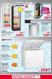 Gazetka promocyjna Selgros - Non Food - Gazetka - ważna od 03.04 do 03.04.2024 - strona 11 - produkty: angebot, angebote, Bau, bauknecht, Behälter, bier, edelstahl, eis, eiswürfel, eiswürfelbereiter, elle, flasche, kühlschrank, LG, nuss, Rauch, Reinigung, Schrank, Ti, wasser, wassertank, würfel