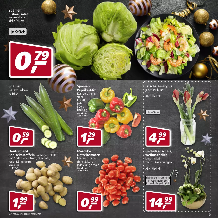 Aktueller Prospekt Real - Real Handzettel - von 13.12 bis 18.12.2021 - strona 5 - produkty: beutel, blume, blumen, datteltomaten, eis, eisbergsalat, gurke, gurken, kartoffel, kartoffeln, orchidee, orchideen, paprika, pflanze, pflanzen, reis, salat, Salatgurke, salatgurken, Schal, Schale, speisekartoffeln, Ti, tomate, tomaten, Vase