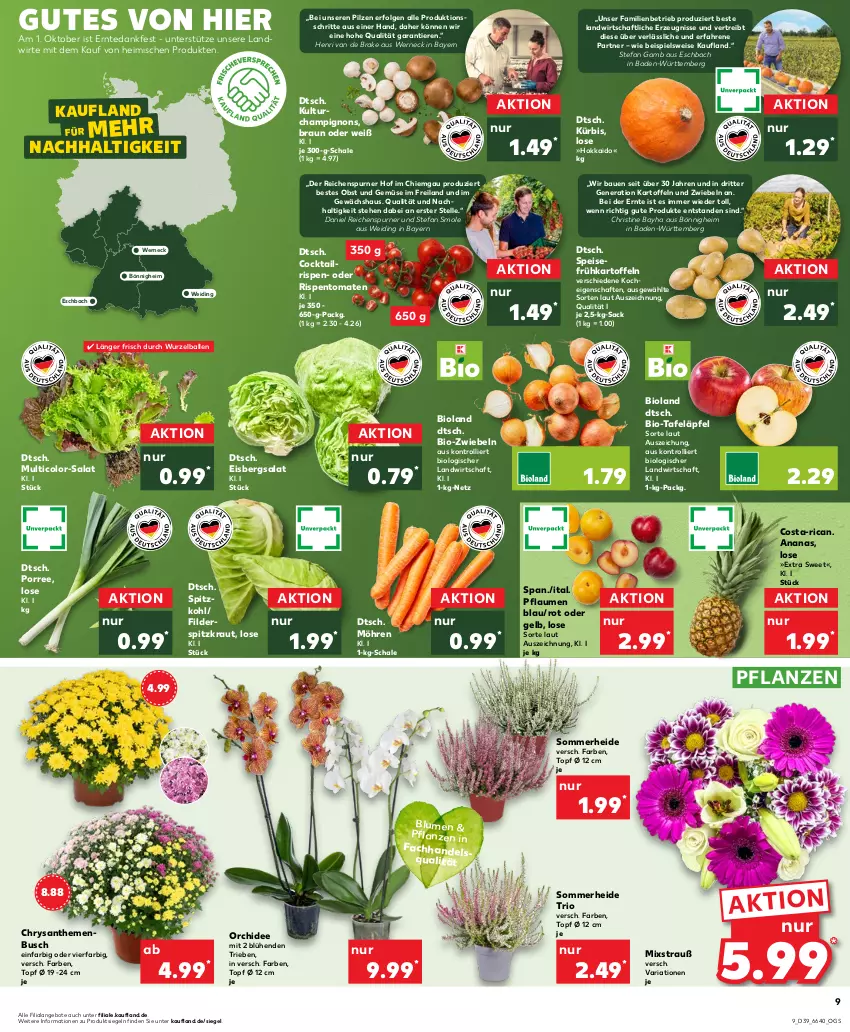 Aktueller Prospekt Kaufland - Prospekt - von 28.09 bis 04.10.2023 - strona 9 - produkty: ananas, angebot, angebote, Bad, ball, Bau, bio, bioland, blume, blumen, braun, champignon, champignons, chrysanthemen, cocktail, eis, eisbergsalat, elle, Frühkartoffeln, Gewächshaus, kartoffel, kartoffeln, Kraut, Kürbis, LG, möhren, obst, Obst und Gemüse, orchidee, pflanze, pflanzen, pflaume, pflaumen, pilze, Ria, rispentomaten, ritter, sac, salat, Schal, Schale, speisefrühkartoffeln, spitzkohl, tafeläpfel, Ti, Tiere, tomate, tomaten, topf, topf ø 12 cm, trolli, und gemüse, zwiebel, zwiebeln