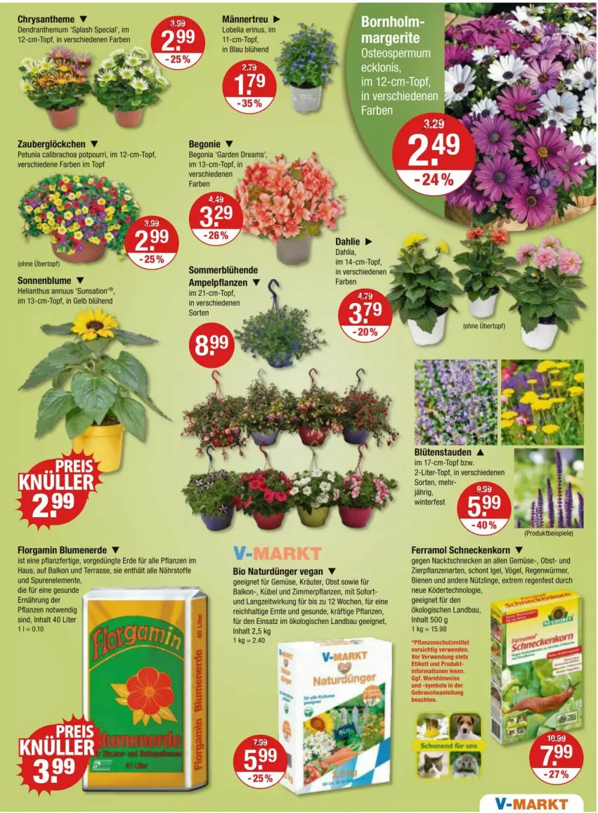 Aktueller Prospekt Vmarkt - Prospekte - von 10.05 bis 15.05.2024 - strona 15 - produkty: Bau, Begonia, Begonie, bio, blume, blumen, blumenerde, Blüte, Blütenstauden, calibrachoa, dahlie, dünger, eis, ente, erde, ferramol schneckenkorn, korn, kräuter, natur, obst, pflanze, pflanzen, Potpourri, schneckenkorn, sonnenblume, Spiele, stauden, Ti, topf, zauberglöckchen