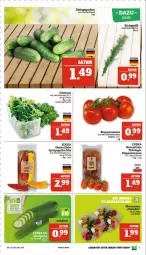 Gazetka promocyjna Marktkauf - Prospekt - Gazetka - ważna od 29.07 do 29.07.2023 - strona 7 - produkty: deka, elle, feldsalat, gurke, gurken, LG, paprika, paprika mix, ring, rispentomaten, rosen, salat, Salatgurke, Schal, Schale, Spitzpaprika, tee, teller, Ti, tomate, tomaten