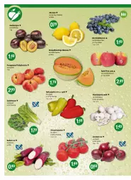 Gazetka promocyjna Vmarkt - V-Markt - Gazetka - ważna od 24.08 do 24.08.2022 - strona 4 - produkty: beere, beeren, bio, champignon, champignons, eis, Elan, fleisch, heidelbeere, heidelbeeren, melone, melonen, orange, paprika, paprika rot, paraguayos, pfirsich, pfirsiche, Pink Lady, plattpfirsiche, Rauch, Rettich, rum, salat, salatherzen, Schal, Schale, Spitzpaprika, strauchtomaten, Ti, tomate, tomaten, Yo, zitrone, zitronen, zwiebel, zwiebeln