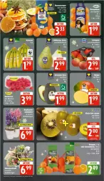 Gazetka promocyjna Edeka - Prospekte - Gazetka - ważna od 28.12 do 28.12.2024 - strona 4 - produkty: banane, bananen, clementinen, eis, reis, sekt, Ti, ZTE