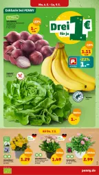Gazetka promocyjna Penny - Prospekte - Gazetka - ważna od 09.03 do 09.03.2024 - strona 3 - produkty: Garten, gartennelke, Rote Zwiebel, topf, zwiebel, zwiebeln
