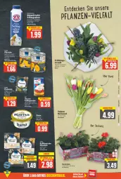 Gazetka promocyjna E Center - Angebote der Woche - Gazetka - ważna od 09.04 do 09.04.2022 - strona 9 - produkty: Becher, beutel, creme, decke, dessert, desserts, elle, frucht, geranie, geranien, kuchen, mandel, mandeln, obst, pflanze, pflanzen, pistazien, sahne, schnitten, Ti, topf, zucker