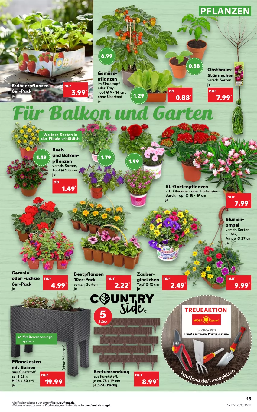 Aktueller Prospekt Kaufland - von 21.04 bis 27.04.2022 - strona 15 - produkty: angebot, angebote, Bau, beetpflanzen, Beetumrandung, blume, blumen, Blumenampel, Erdbeerpflanze, Garten, Gartenpflanze, geranie, hortensie, hortensien, obst, pflanze, pflanzen, Pflanzkasten, Ti, topf, topf ø 12 cm, übertopf, Zelt