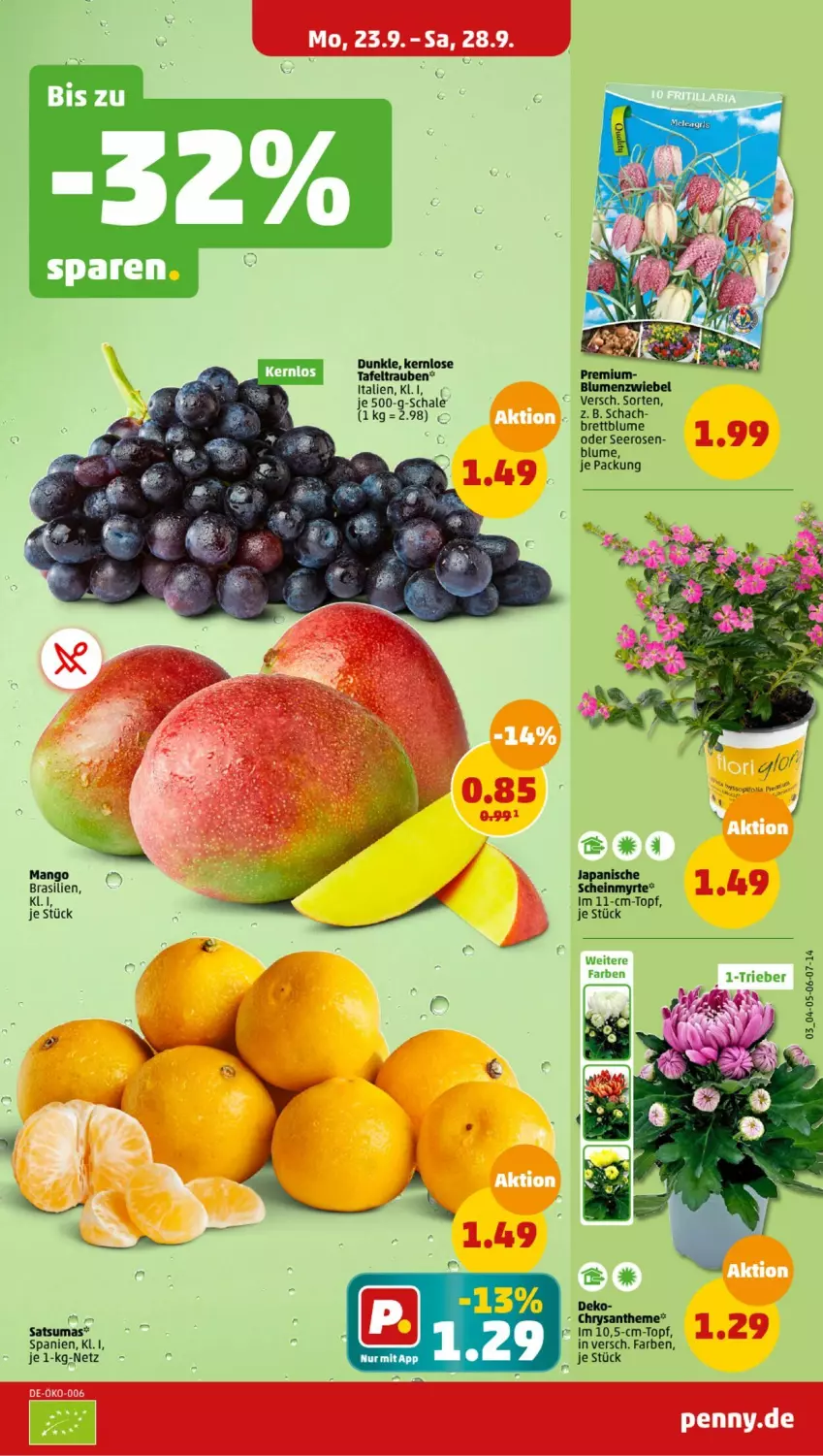 Aktueller Prospekt Penny - Prospekte - von 23.09 bis 28.09.2024 - strona 3 - produkty: blume, blumen, mango, rosen, Schal, Schale, tafeltrauben, topf, trauben, zwiebel