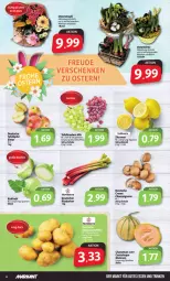 Gazetka promocyjna Markant - Prospekte - Gazetka - ważna od 30.03 do 30.03.2024 - strona 4 - produkty: beutel, gutes essen, kohlrabi, melone, melonen, rhabarber, Schal, Schale, tafeläpfel, tafeltrauben, Ti, trauben, zitrone, zitronen