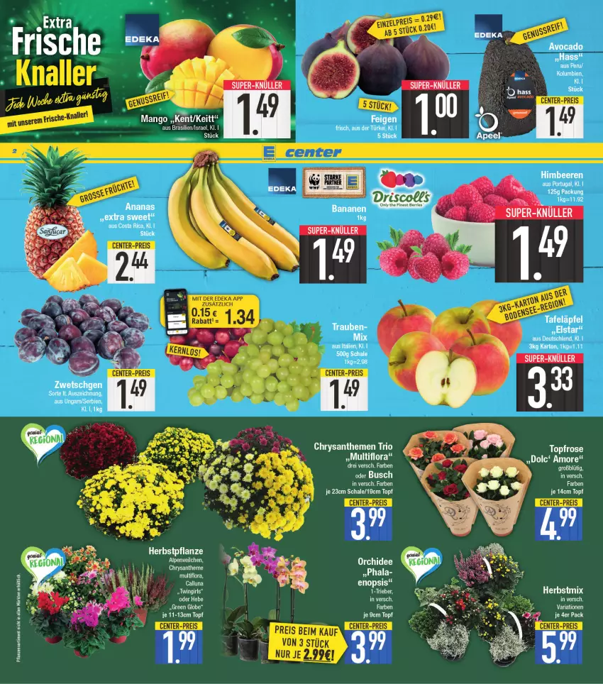 Aktueller Prospekt E Center - Angebote der Woche - von 05.09 bis 10.09.2022 - strona 2 - produkty: banane, bananen, Ti