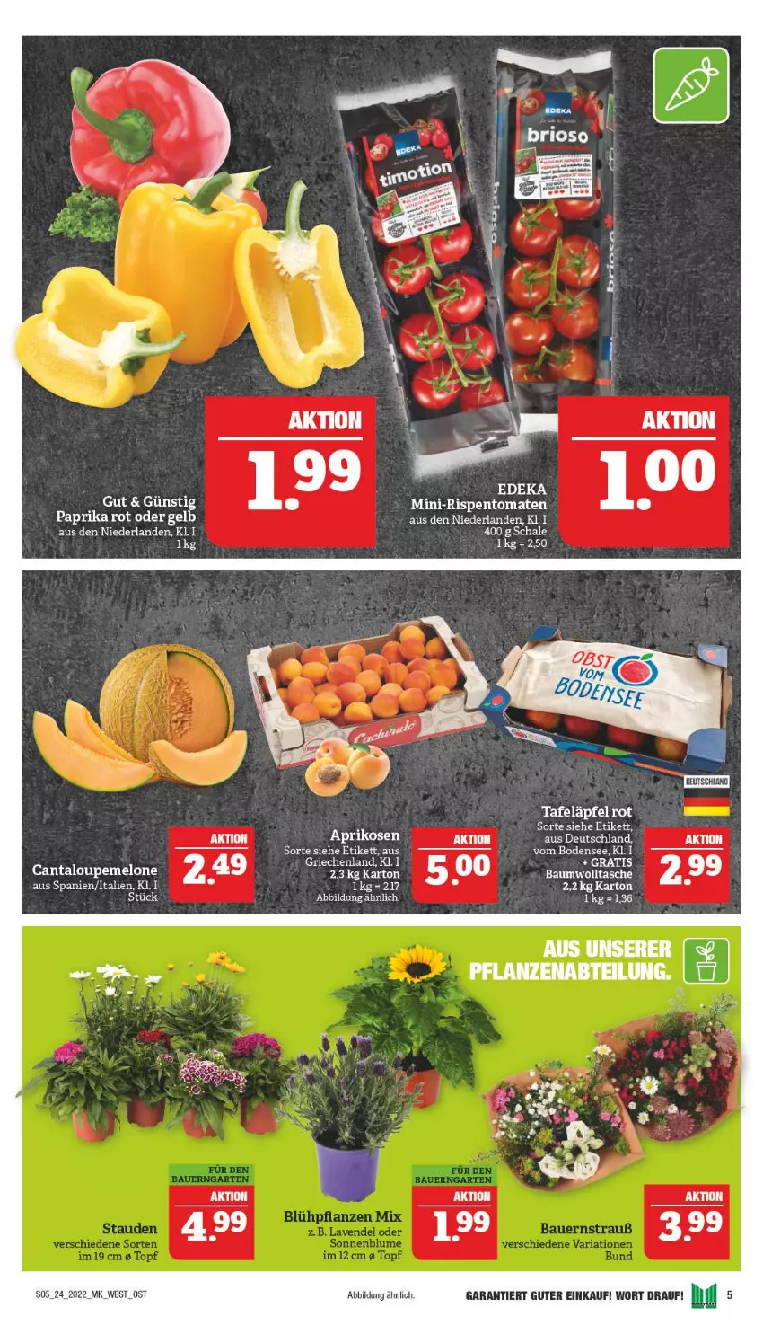 Aktueller Prospekt Marktkauf - Prospekt - von 12.06 bis 18.06.2022 - strona 5 - produkty: melone, Schal, Schale, tafeläpfel, Ti