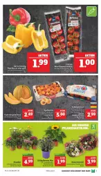 Gazetka promocyjna Marktkauf - Prospekt - Gazetka - ważna od 18.06 do 18.06.2022 - strona 5 - produkty: melone, Schal, Schale, tafeläpfel, Ti