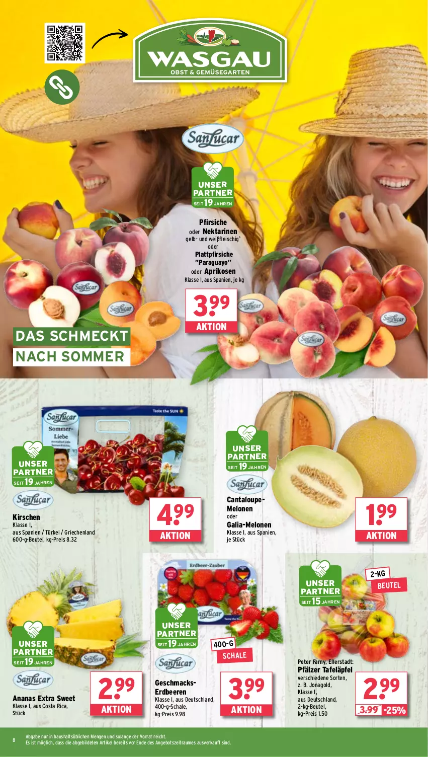 Aktueller Prospekt Wasgau - von 24.06 bis 29.06.2024 - strona 8 - produkty: ananas, angebot, aprikose, aprikosen, beere, beeren, beutel, eis, elle, erdbeere, erdbeeren, fleisch, Galia-melone, kirsch, kirsche, kirschen, mac, melone, melonen, Nektar, nektarinen, pfirsich, pfirsiche, pfirsiche oder, plattpfirsiche, reis, Schal, Schale, tafeläpfel, Ti, Yo