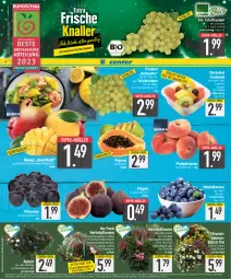 Gazetka promocyjna E Center - Angebote der Woche - Gazetka - ważna od 02.09 do 02.09.2023 - strona 2 - produkty: Abtei, Alpenveilchen, ananas, Astra, beere, beeren, bio, chrysanthemen, deka, eis, ente, Feigen, frucht, Garten, grapefruit, Grünpflanzen, heidelbeere, heidelbeeren, kiwi, lebensmittel, LG, mango, obst, orange, orangen, Papaya, pfirsich, pfirsiche, pflanze, pflanzen, pflaume, pflaumen, plattpfirsiche, reis, ring, rosen, salat, Schal, Schale, speyer, Stiegl, super-knüller, tafeltrauben, Ti, topf, trauben, wagner, Wild