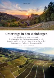 Gazetka promocyjna Rossmann - Prospekte - Gazetka - ważna od 01.11 do 01.11.2024 - strona 84 - produkty: eis, nuss, rwe, wein