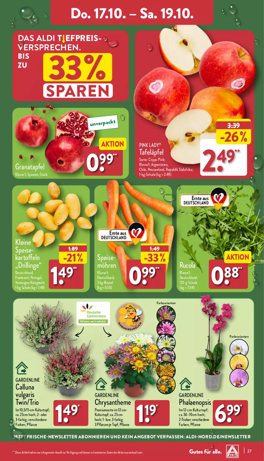 Aktueller Prospekt Aldi Nord - Von Montag - von 14.10 bis 19.10.2024 - strona 27 - produkty: aldi, angebot, apfel, beutel, cola, eis, Elan, grana, granatapfel, kartoffel, kartoffeln, kulturtopf, leine, LG, möhren, pflanze, pflanzen, phalaenopsis, Pink Lady, Rana, reis, Ria, rucola, Schal, Schale, tafeläpfel, Ti, topf, ZTE