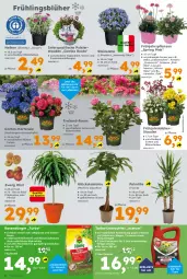 Gazetka promocyjna  - Gazetka - ważna od 28.03 do 28.03.2026 - strona 2 - produkty: aqua, beispielabbildung, beutel, bio, Blüte, dünger, eis, Garten, hortensie, hydrangea, hydrangea macrophylla, Kraut, mac, Nektar, obst, Pachira, rasen, rasendünger, Ria, ring, rosen, sahne, Spezi, stauden, Ti, Tiere, topf, wasser