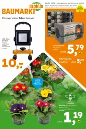 Gazetka promocyjna  - Gazetka - ważna od 02.03 do 02.03.2024 - strona 1 - produkty: akku, Blüte, braun, briketts, eis, Kamin, Palette, pflanze, pflanzen, Primeln, reis, Ti, topf