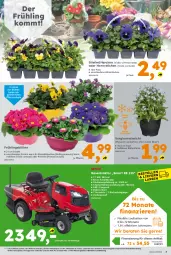 Gazetka promocyjna  - Gazetka - ważna od 02.03 do 02.03.2024 - strona 3 - produkty: Bank, Blüte, Brei, eis, Elektro, pflanze, Primeln, rasen, Rasentraktor, reis, sac, Schal, Schale, Ti, topf, Yo, ZTE