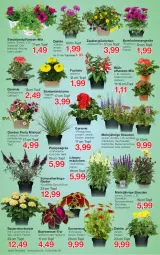 Gazetka promocyjna Jawoll - Prospekte - Gazetka - ważna od 25.06 do 25.06.2022 - strona 6 - produkty: Antirrhinum majus, auer, Bau, Bauer, beetpflanzen, blume, calibrachoa, dahlie, Echinacea, eier, ente, flieder, geranie, Gerber, Heu, hortensie, HP, Kalanchoe, Kraut, Mett, ndk, Pelargonium, pflanze, pflanzen, rel, Ria, Schmetterling, stauden, Ti, topf, zauberglöckchen