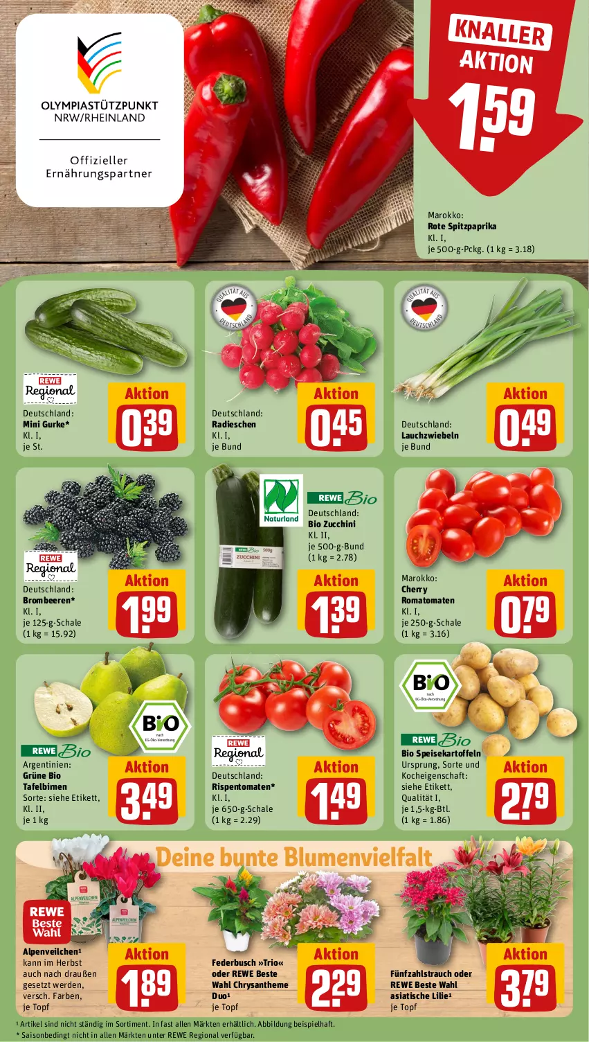 Aktueller Prospekt Rewe - Prospekte - von 29.07 bis 03.08.2024 - strona 7 - produkty: Alpenveilchen, beere, beeren, bio, Birnen, blume, blumen, brombeere, brombeeren, eis, erde, gurke, kartoffel, kartoffeln, Lauchzwiebel, lauchzwiebeln, paprika, radieschen, Rauch, rewe beste wahl, rispentomaten, Romatomaten, Schal, Schale, speisekartoffeln, Spitzpaprika, tafelbirnen, Ti, tisch, tomate, tomaten, topf, zucchini, zwiebel, zwiebeln